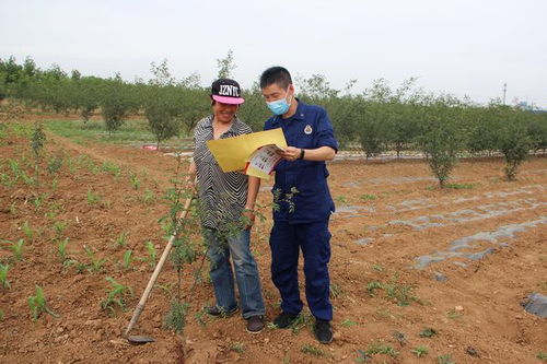 三門峽消防提醒 平安麥收,勿忘防火