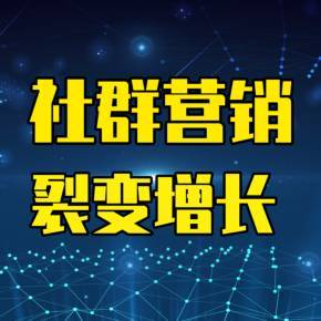 裂變?cè)鲩L(zhǎng)與社群營(yíng)銷 企業(yè)營(yíng)銷策劃實(shí)戰(zhàn)指南
